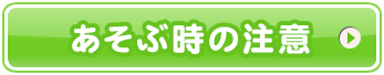 あそぶ時の注意